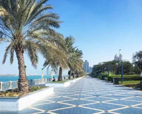 top activities in dubai