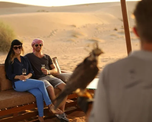 top activities in dubai